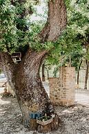 Borghetto Poggio Bianco - Antico casale