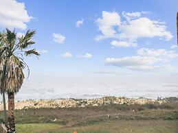 Sandy Cheeks Surfside