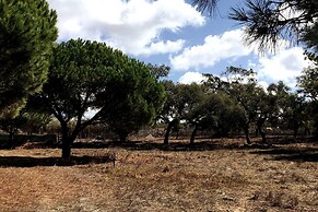 Omontinho - 4-bed House With Pool in Melides