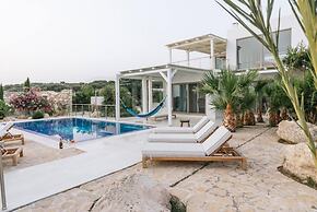 Villa Olympia in the Palm Trees