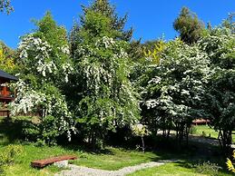 Solar Selvana - Casas de montaña