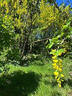 Solar Selvana - Casas de montaña