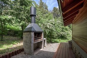 Solar Selvana - Casas de montaña