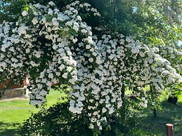 Solar Selvana - Casas de montaña