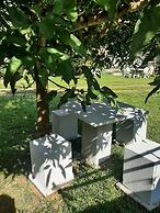 Indra Sisila Villa Bentota