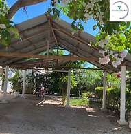 Shamba Village Hotel