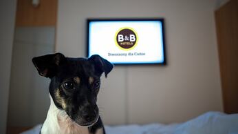 B&B HOTEL Kielce Centrum