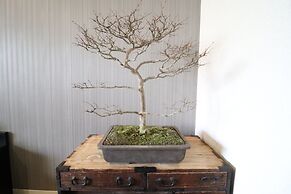 Serenite Nippombashi