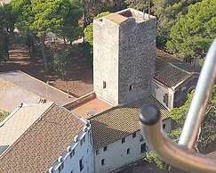 CASTELL GRANADELLA