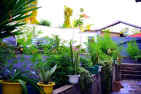 Safari Park House
