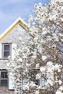 Avonlea Forest Hill Cottages