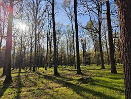 Sublimes hébergements en coeur de forêt