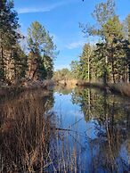 Sublimes hébergements en coeur de forêt