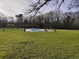 Sublimes hébergements en coeur de forêt