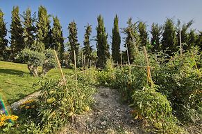 Geolivia Estate in Crete
