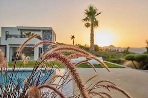 Geolivia Estate in Crete