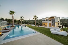 Geolivia Estate in Crete