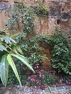 Monart Hospitality Capodimonte