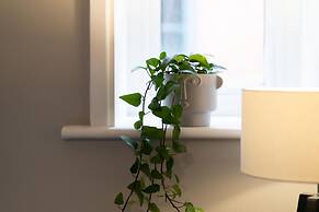 High Street Town House