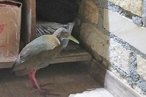 Tiny House Garden - Praia Grande - SC