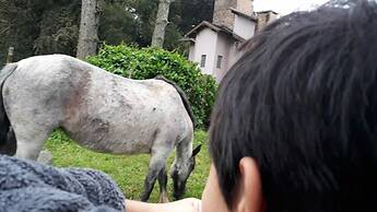 Tiny House Garden - Praia Grande - SC
