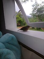 Tiny House Garden - Praia Grande - SC