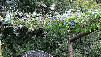 Tiny House Garden - Praia Grande - SC