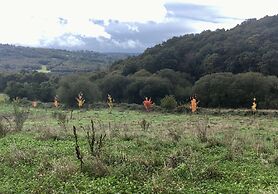 Hotel Pazo de Bieite