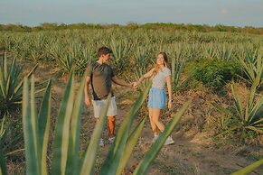 Viatura Hacienda Xtojil, Yucatan, Merida, with Optional All Inclusive