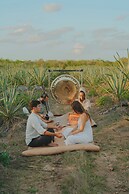 Viatura Hacienda Xtojil, Yucatan, Merida, with Optional All Inclusive