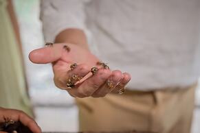 Viatura Hacienda Xtojil, Yucatan, Merida, with Optional All Inclusive