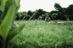 Kutani Bagh - best hotel in Sariska national park