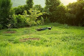 Kutani Bagh - best hotel in Sariska national park