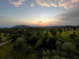 Click Collection The Abode Dharamshala