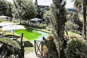 Luxury, Sustainability and Eco Pool