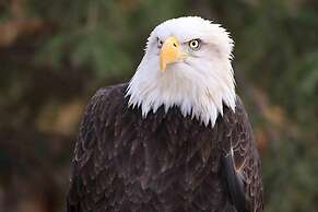 Stunning Luxury Mediterranean-style Private Oasis!