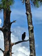 Stunning Luxury Mediterranean-style Private Oasis!