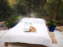 Glamping amazonas