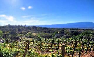 Puro Dão Hotel & Spa