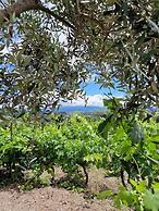 Puro Dão Hotel & Spa