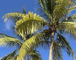 Luxury Studio With Private Jacuzzi Near Beaches