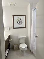 Comfort Suites St. Augustine Historic District Area