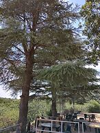 Carod Espacio Serrano