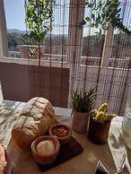 Carod Espacio Serrano