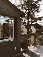 Carod Espacio Serrano