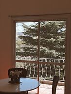 Carod Espacio Serrano