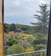 Carod Espacio Serrano