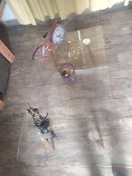 Abitare Durango By Grupo Salazar