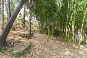 Vico Garden-203 in Como