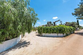 3229 Trullo Mimosa by Perle di Puglia